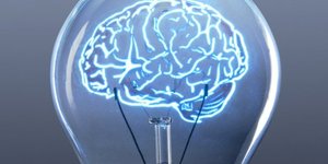 Small_cerebro_ampolleta